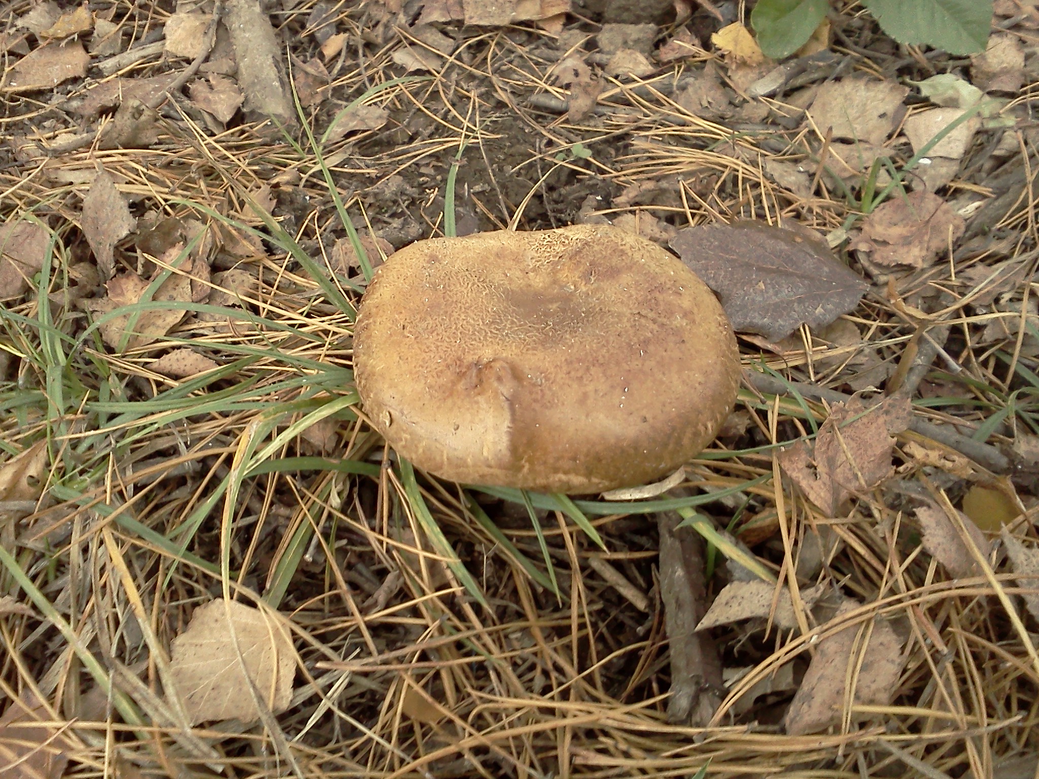 attachment.php?attachmentid=222862&thumb=1&d=1350852779