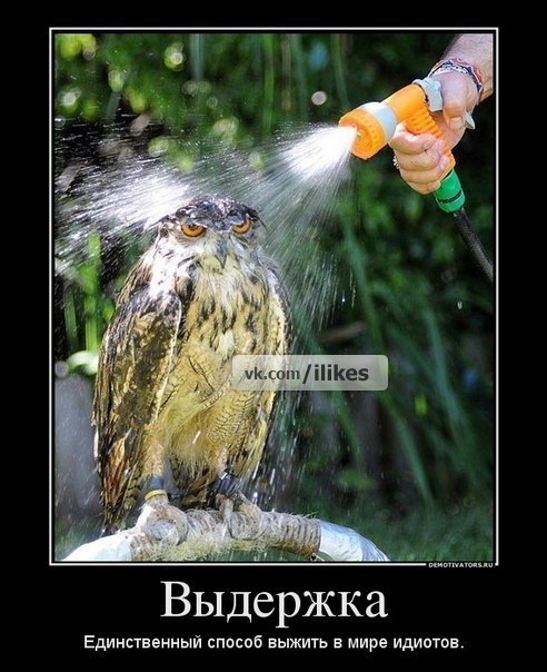 attachment.php?attachmentid=223158&stc=1&d=1350972944