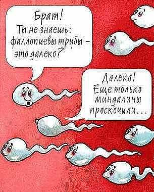 attachment.php?attachmentid=223538&stc=1&d=1351141386