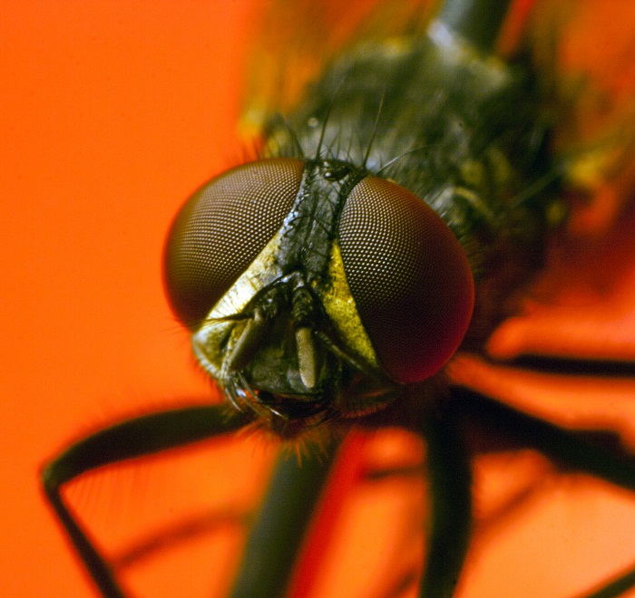 attachment.php?attachmentid=223817&stc=1&d=1351242985