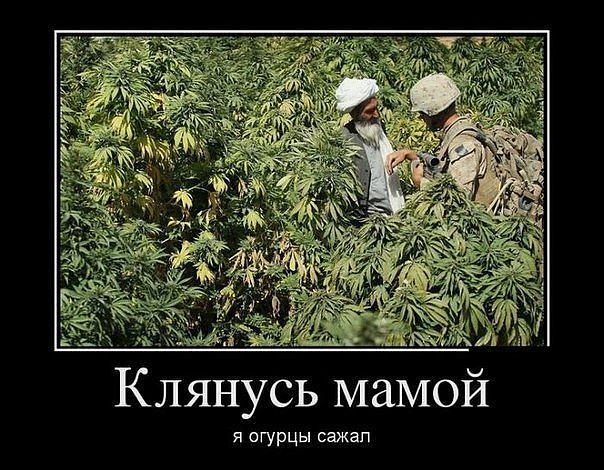 attachment.php?attachmentid=223870&stc=1&d=1351260268