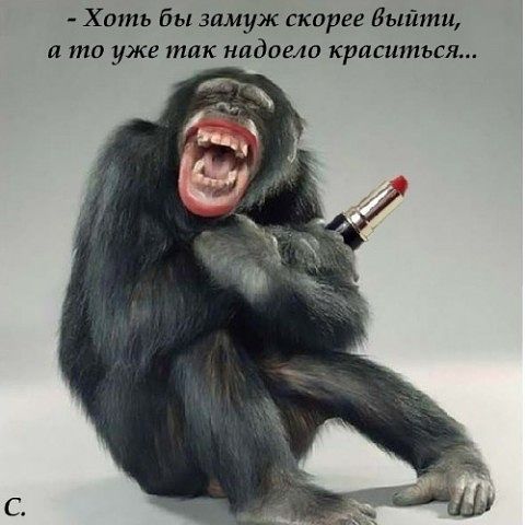 attachment.php?attachmentid=224140&stc=1&d=1351414486