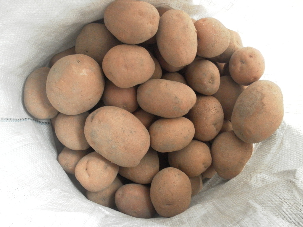 attachment.php?attachmentid=224780&stc=1&d=1351628172