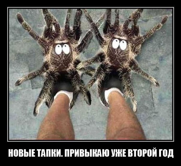 attachment.php?attachmentid=227784&stc=1&d=1352799203