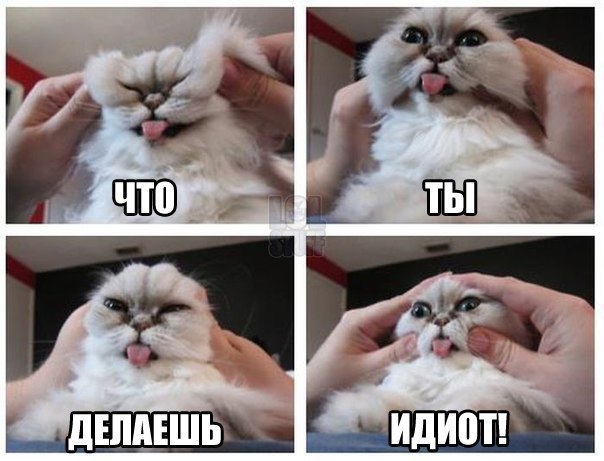 attachment.php?attachmentid=227981&stc=1&d=1352886512