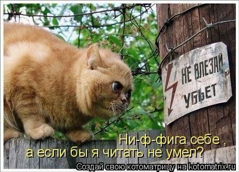 attachment.php?attachmentid=227983&stc=1&d=1352887306