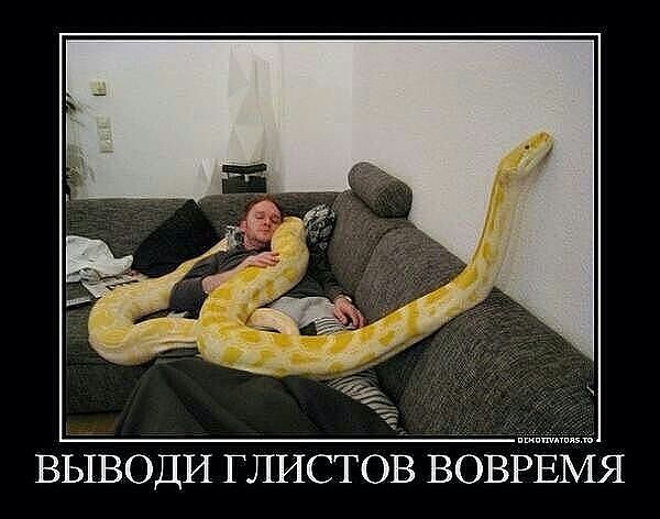 attachment.php?attachmentid=229895&stc=1&d=1353588798