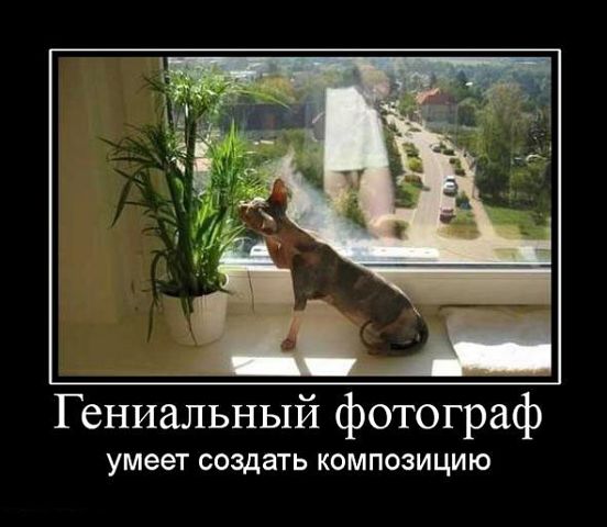 attachment.php?attachmentid=231028&stc=1&d=1354009973