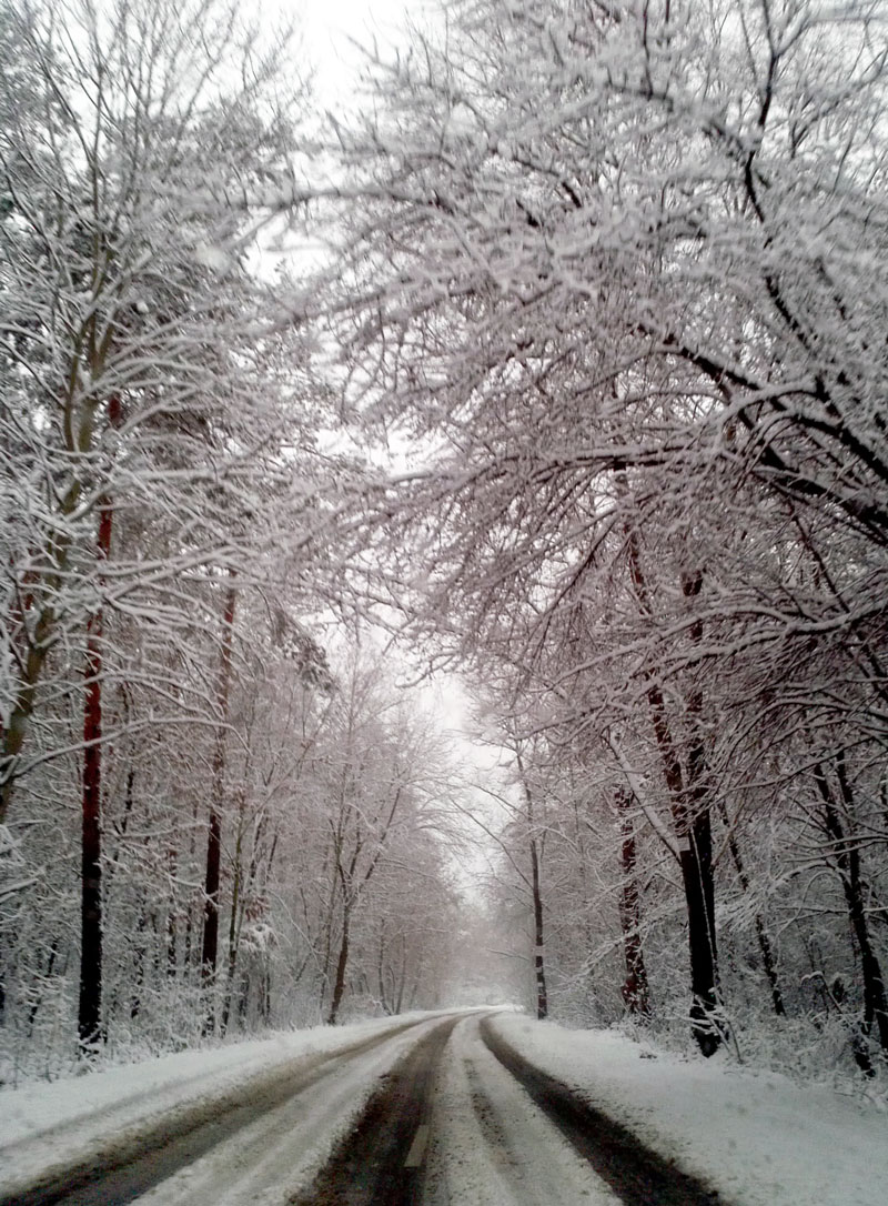 attachment.php?attachmentid=234236&stc=1&d=1354869467