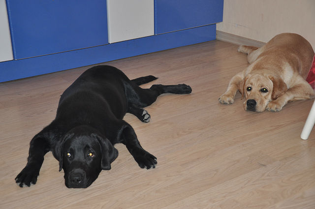 attachment.php?attachmentid=234529&d=1355002772