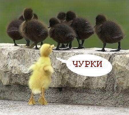 attachment.php?attachmentid=235910&stc=1&d=1355502823