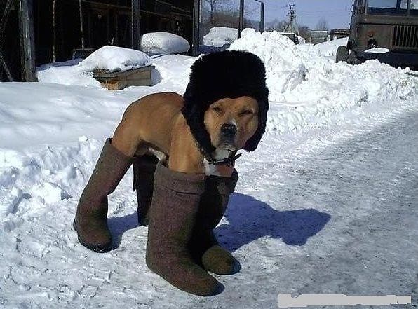 attachment.php?attachmentid=236819&stc=1&d=1355853786