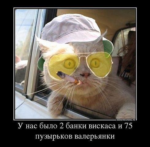 attachment.php?attachmentid=236827&stc=1&d=1355859246