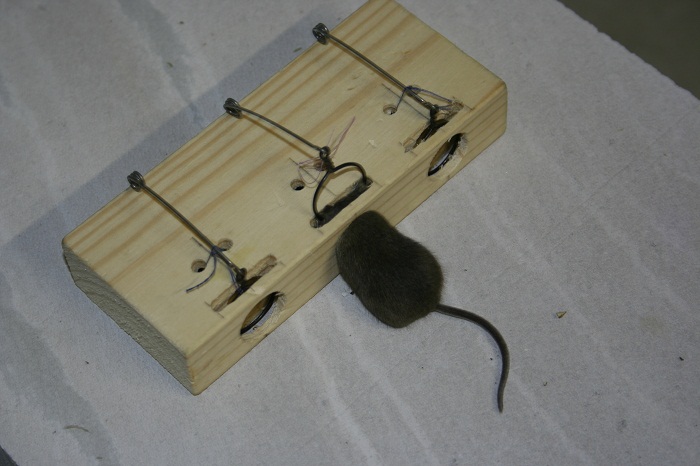 attachment.php?attachmentid=238108&stc=1&d=1356427835