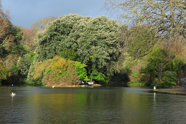 attachment.php?attachmentid=238257&d=1356460889