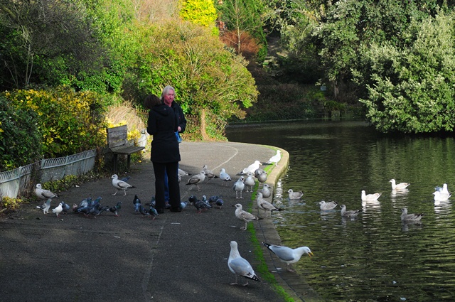 attachment.php?attachmentid=238258&d=1356460904