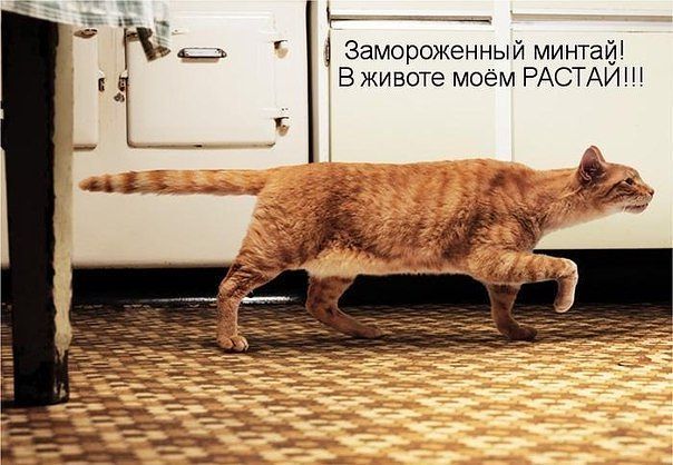 attachment.php?attachmentid=239015&stc=1&d=1356805948