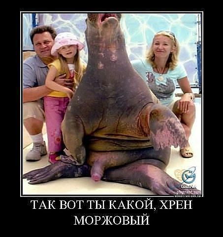 attachment.php?attachmentid=239080&stc=1&d=1356860352