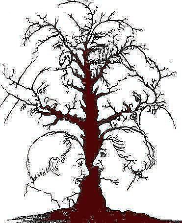 attachment.php?attachmentid=239181&stc=1&d=1356896473