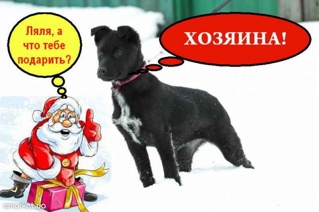 attachment.php?attachmentid=239622&stc=1&d=1357201117