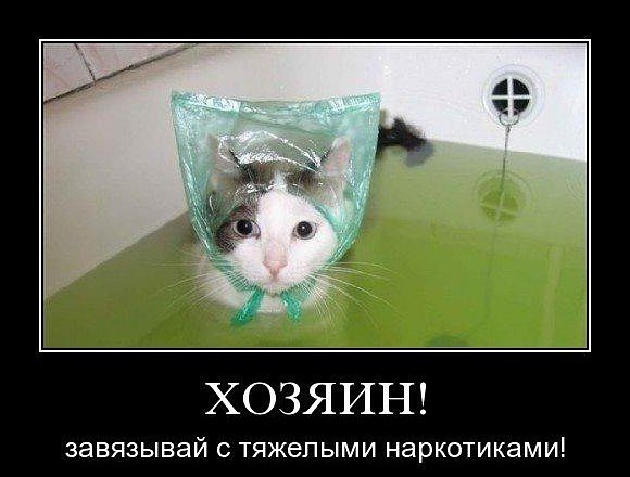 attachment.php?attachmentid=240350&stc=1&d=1357465002