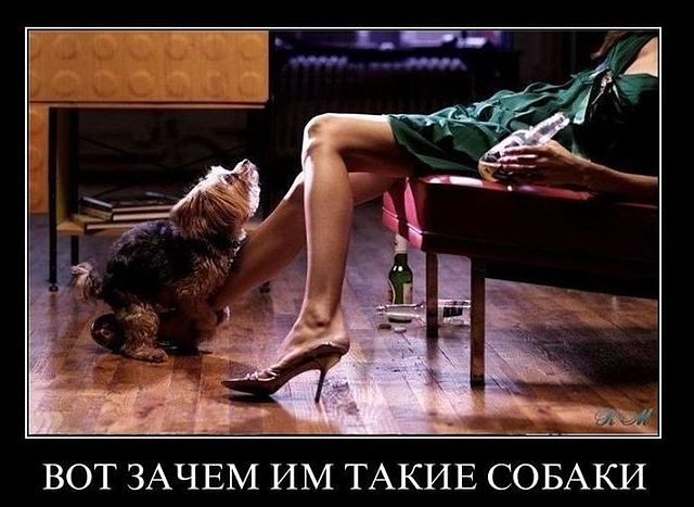 attachment.php?attachmentid=240886&stc=1&d=1357662361