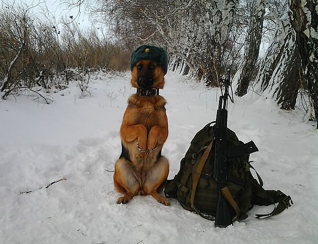 attachment.php?attachmentid=241447&stc=1&d=1357835823