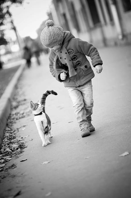 attachment.php?attachmentid=242409&d=1358203627