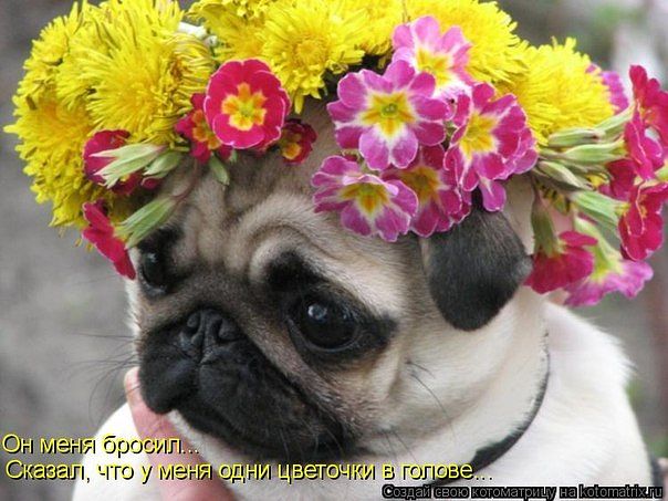 attachment.php?attachmentid=243196&stc=1&d=1358513237