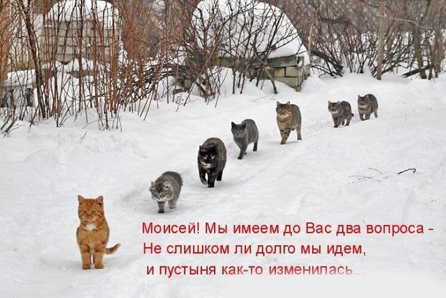 attachment.php?attachmentid=244168&stc=1&d=1358870175