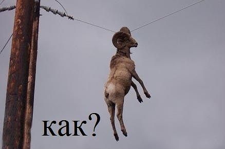 attachment.php?attachmentid=246548&stc=1&d=1359617653