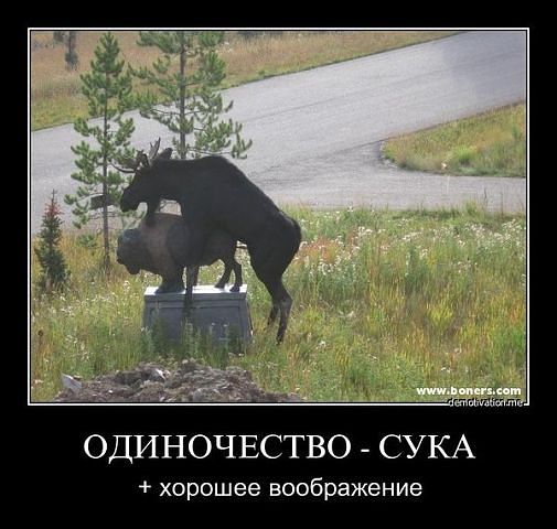 attachment.php?attachmentid=246686&stc=1&d=1359657662