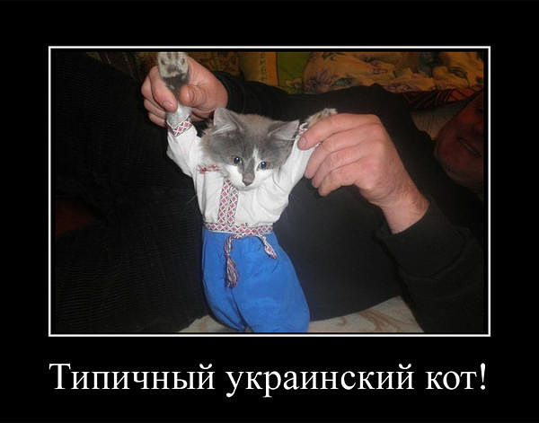 attachment.php?attachmentid=247843&stc=1&d=1360082979