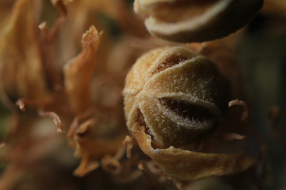 attachment.php?attachmentid=250392&stc=1&d=1360872565