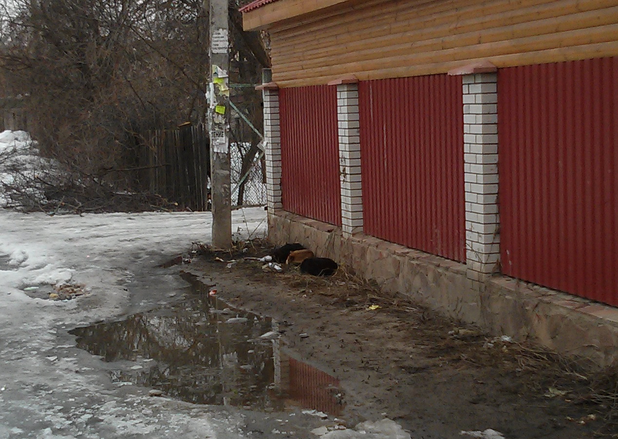 attachment.php?attachmentid=254580&d=1362166307