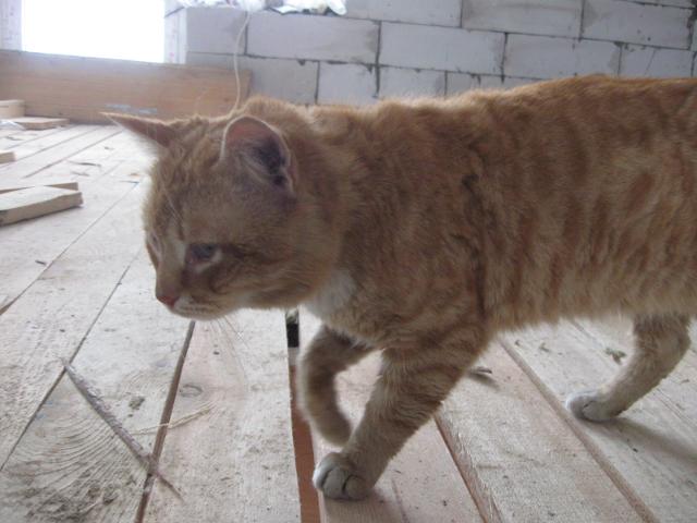 attachment.php?attachmentid=257275&stc=1&d=1363106940