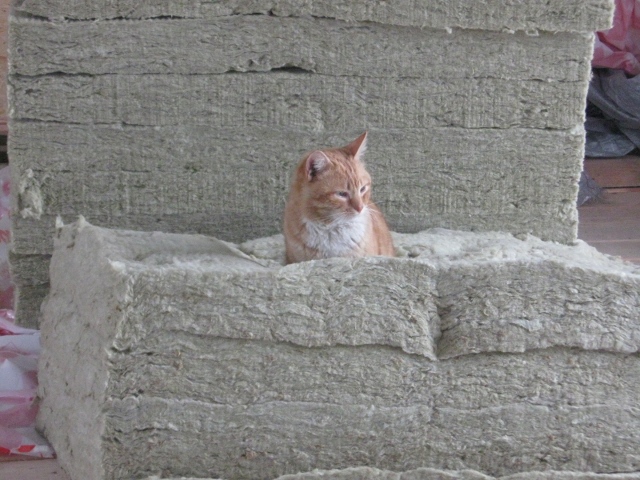 attachment.php?attachmentid=257277&stc=1&d=1363106940