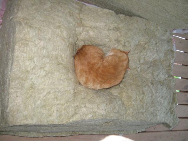 attachment.php?attachmentid=257280&stc=1&d=1363106940