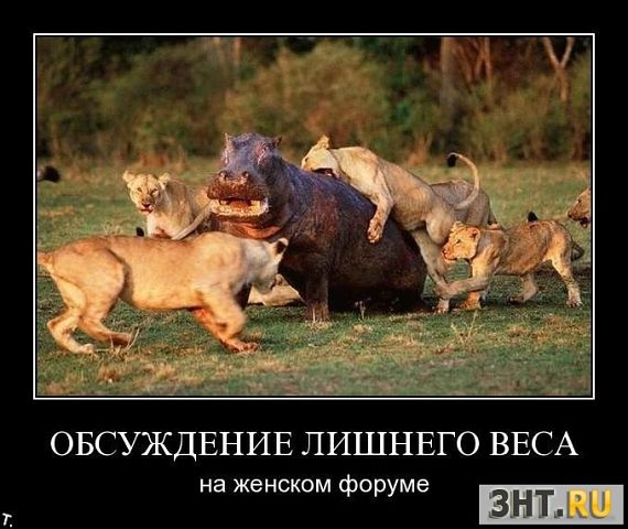 attachment.php?attachmentid=258428&stc=1&d=1363504614