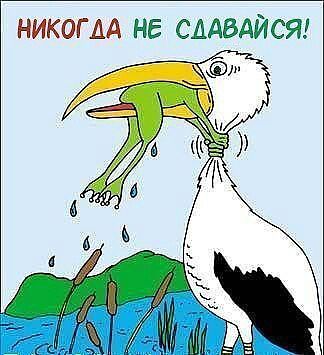 attachment.php?attachmentid=261948&stc=1&d=1364376820