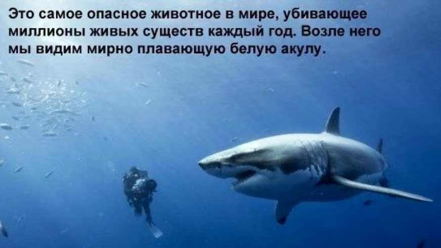 attachment.php?attachmentid=262256&d=1364463752