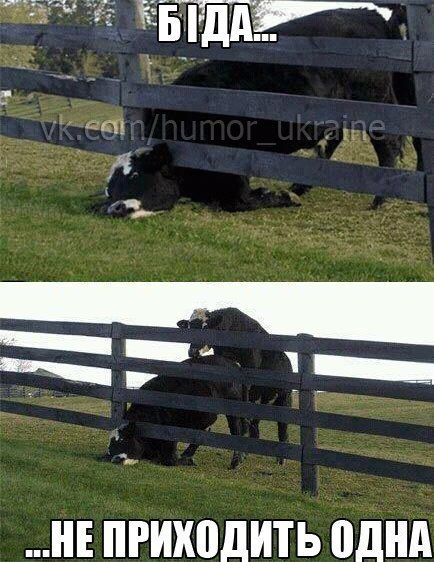 attachment.php?attachmentid=263439&d=1364811002