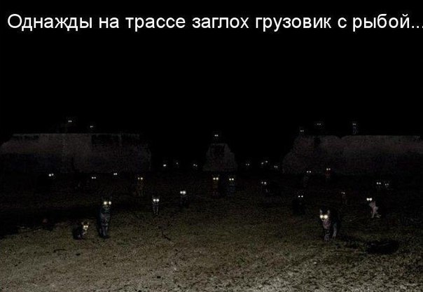 attachment.php?attachmentid=263440&d=1364811014