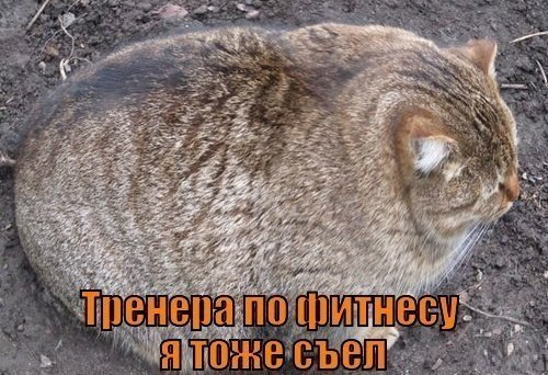 attachment.php?attachmentid=264568&d=1365155317