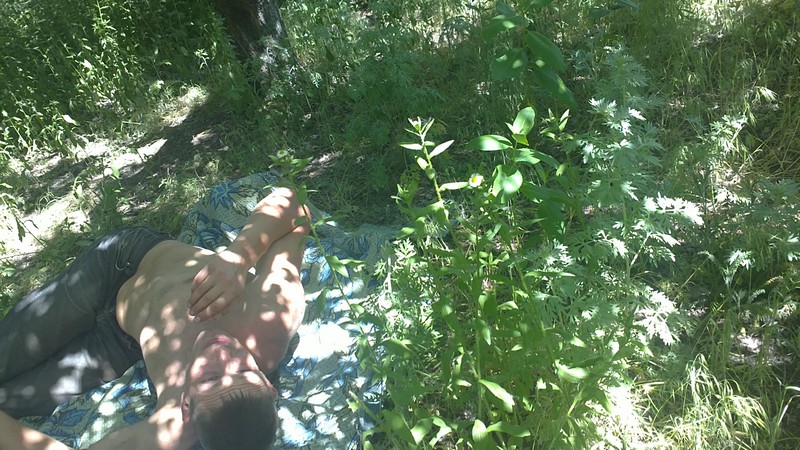 attachment.php?attachmentid=265539&d=1365431240