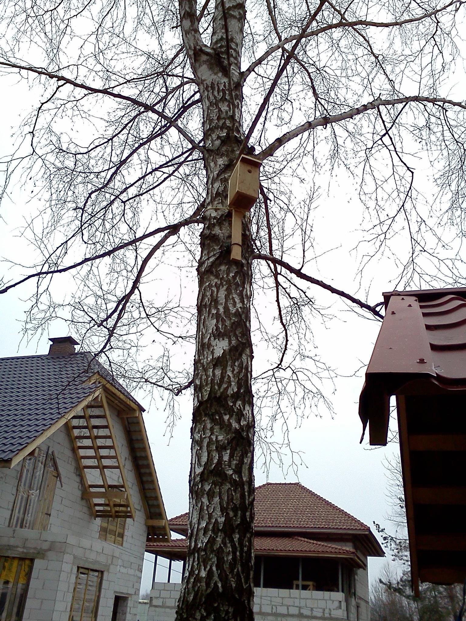 attachment.php?attachmentid=267565&thumb=1&d=1365880508