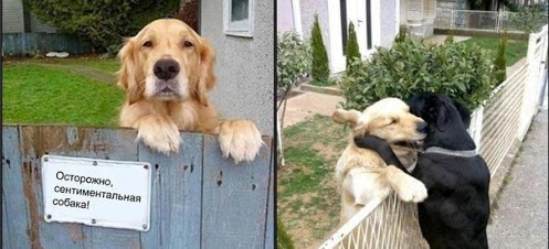 attachment.php?attachmentid=268701&stc=1&d=1366141560