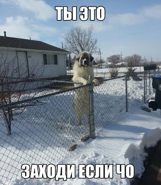 attachment.php?attachmentid=268702&stc=1&d=1366141570