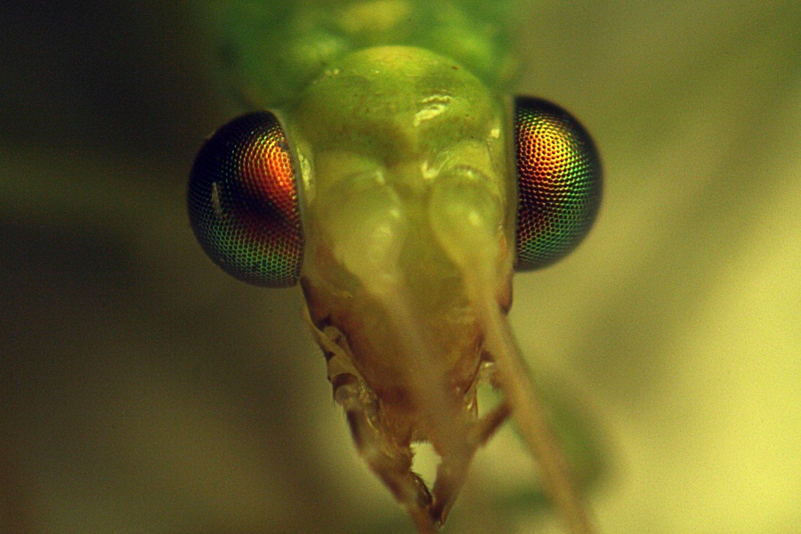 attachment.php?attachmentid=271050&stc=1&d=1366835060