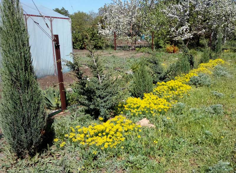 attachment.php?attachmentid=273346&stc=1&d=1367658415